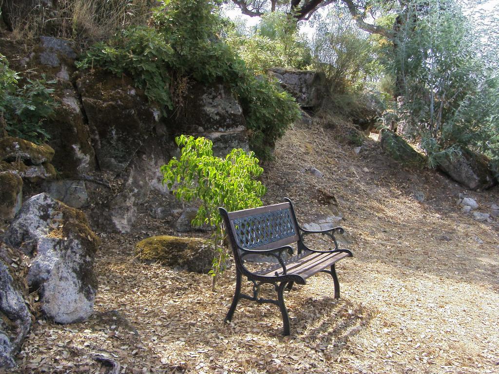 Apartament Flor Da Ramila Marvão Pokój zdjęcie
